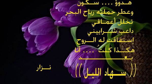 خواطر الليل 4B1Dd39Bd628Ae4Fbb3Dc737B08C7436