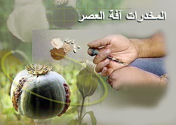 المخدرات بحث 18700 2