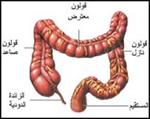 مضاعفات القولون العصبي 65676A1Eb9Ef63Ffc9Fd216791C37357