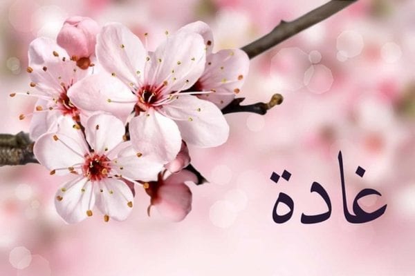 معنى غادة - اسرار وصفات الاسم غادة 74862 2