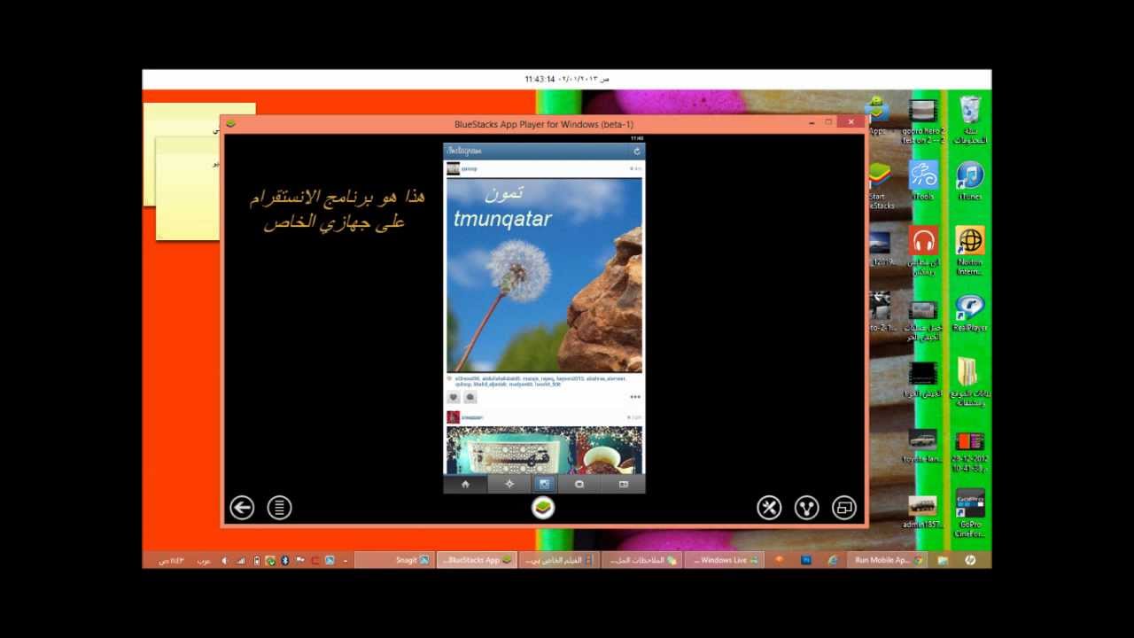 انستقرام للاب توب