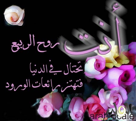 اجمل اشعار العشاق Bdea88Af4Badc72919D0C2Bffcdf2Fd2