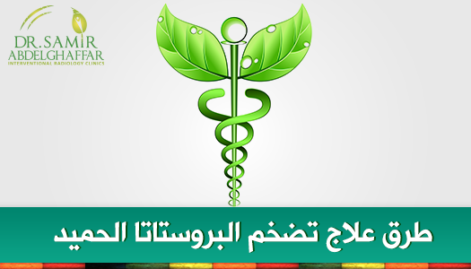 ماهو علاج البروستاتا 53E4F126F7B01088Acf70F3D1C90Eb9C