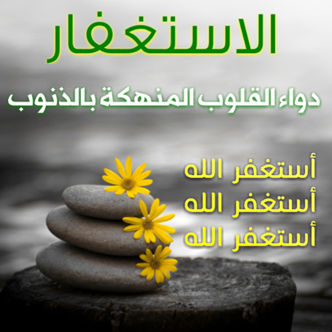 قصص غريبة عن الاستغفار D54A8434B21922F4C236F1500D3B8038