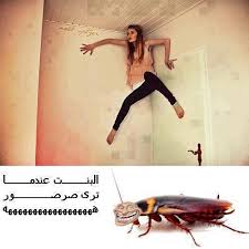 نكات بنات مزخرفة 7656 3