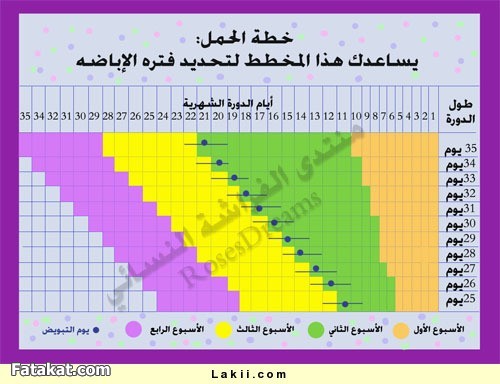 جدول الاباضة للحمل بولد 1B839174Ce61B5537D1A866C51D6D625