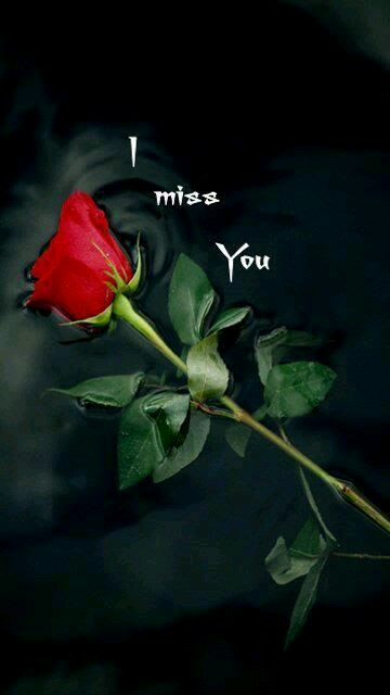 صور I Miss You - اجمل صور رومانسيه I Miss You 74896 6