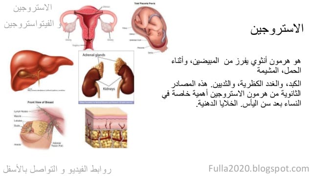 هرمون الاستروجين