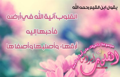 تالم ايها القلب لتتعلم 1F8591C4A25Ddae7166523F8Ba972680