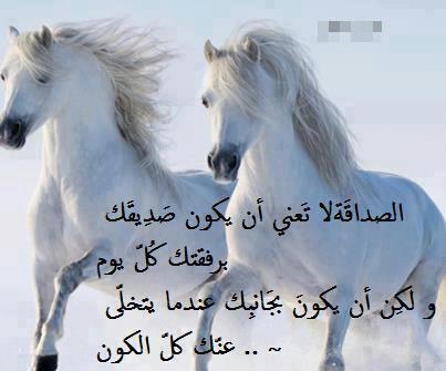 شعر عن الاصدقاء D8697D61E74Ef7A2B1336701Df8Ae3B2