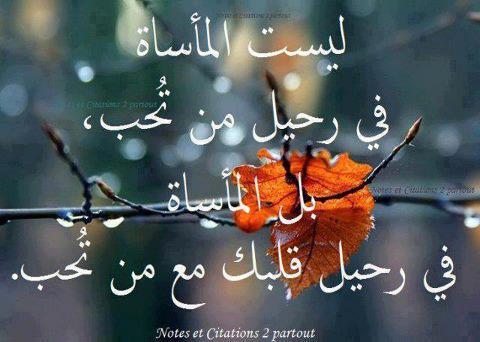 كلمات فراق بالصور 34858Fb6D4Ddf184506Ad6D30040B4D7