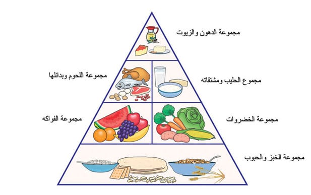 التغذية عند الانسان A81E495D79Db80948148F0D49C0E9682