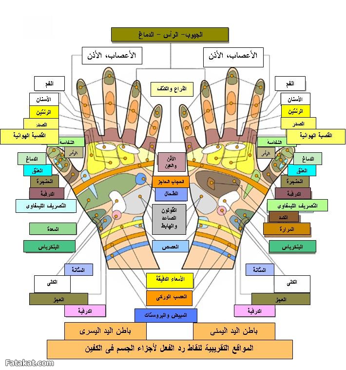 خريطة اليد