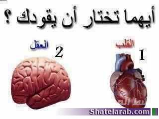 ماذا تختار