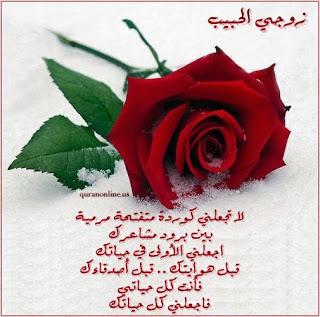 شعر معنى الحب 9805 1