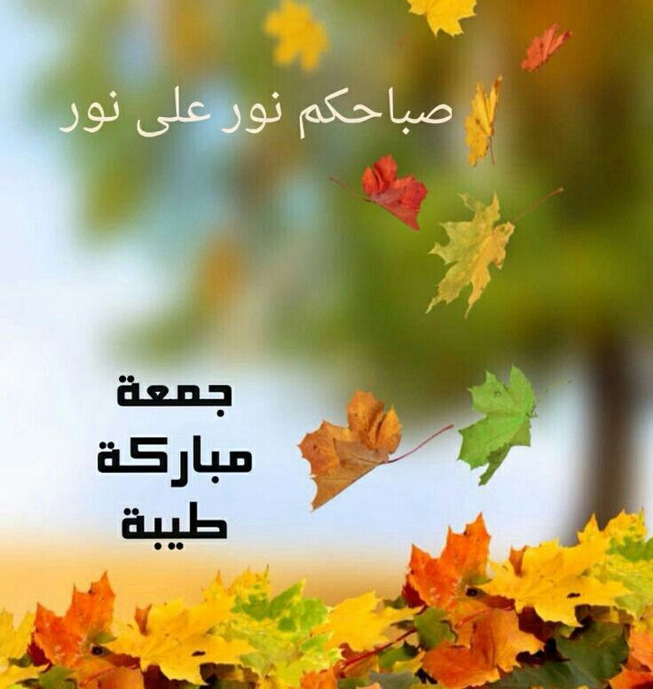 جمعة طيبة مباركة 82C7Fc65F4Dd7B6B2E8A0B78Bc3Adb46