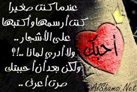 اجمل شعر الحب والغزل E7Ad74F6189041E782485565D335F320