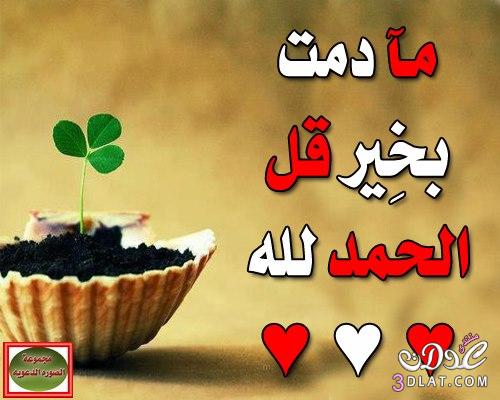 صور اسلامية منوعة 11417 2