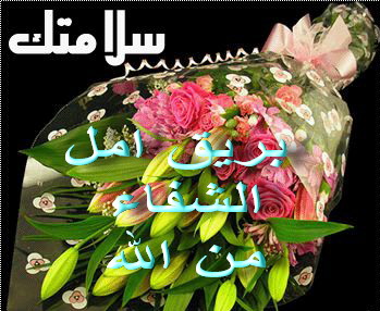 الف سلامه عليكى E30Eda6Da688Fb293C3854445D91Cde0