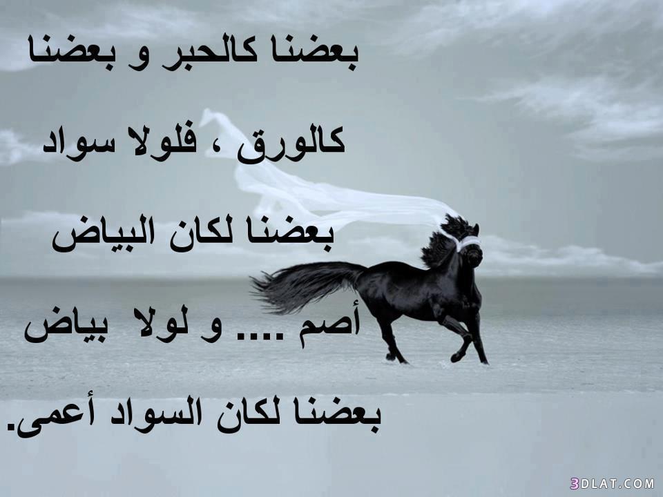 صور جديدة ومعبرة Fd67E2871F6977D00Ea3B6Ce495C6835