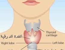 علاج الغدة الدرقية بالاعشاب للدكتور عبد الباسط , الاعشاب وفائدتها فى العلاج 10156 1 216x165