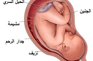 الم اسفل البطن للحامل في الشهر الثامن ، اسبابه و كيف تتخلصين منه في ثواني 14210 1 310x205