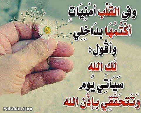 صور حكمه جميلة