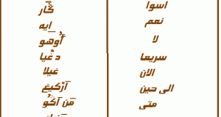 لغة الامازيغ 18309 1 310x165