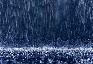 19006 صورة مطر ولاء جلال