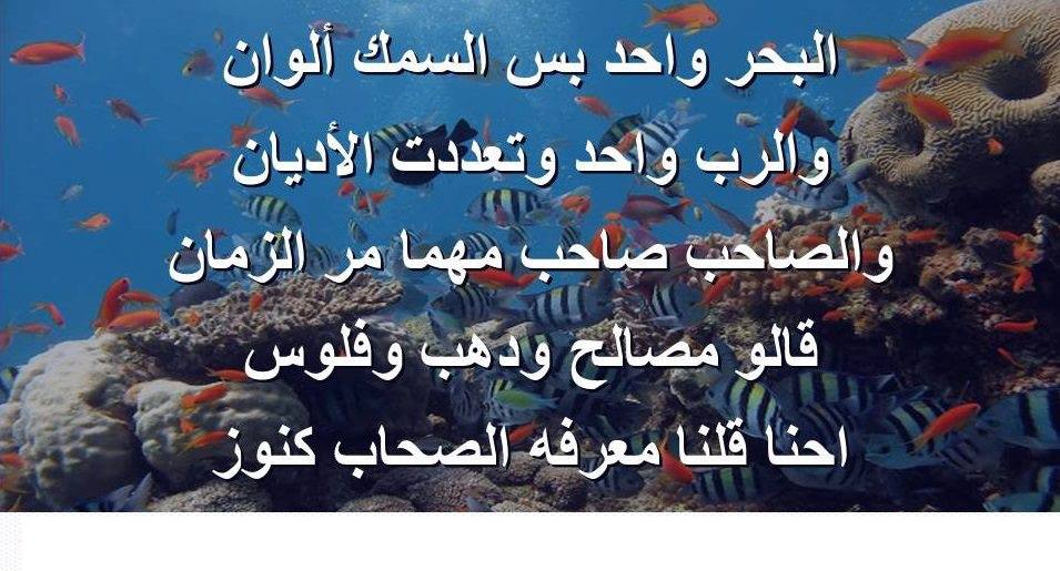 حكم ومواعظ اسلامية