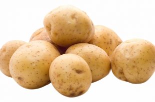 تفسير حلم البطاطس لابن سيرين 832 1 310x205