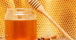 فوائد القرفة والعسل للشعر , كل دة هيحصلى لو شربت كوب قرفه بالعسل بجد؟ 40a75b7bd95b70b1a2c5196b95a4e087 310x165