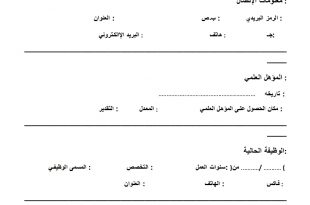 نموذج سي في بالعربي 685afac231274a432854e6ef154801e8 310x205