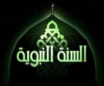 822 كتاب السنة النبوية الشريفة جابر فادي