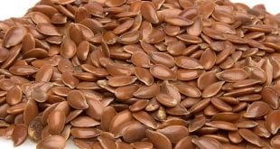 بذر الكتان طلع مفيد جدا , بذرة الكتان جابر القحطاني 114260 310x165