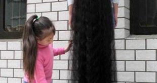 صور اطول شعر في العالم 13501523732 310x165
