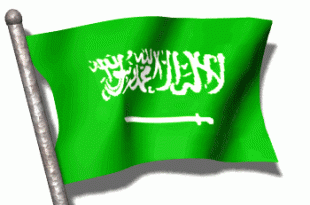 علم المملكة العربية السعودية متحرك a3f4f451d42dffa6b881e906ae531f26 310x205