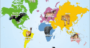 خريطة العالم للاطفال c3578b909cab2c8556c155c775a87c8b 310x165