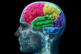 اختبار عمر الدماغ images167