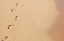فوائد المشي على الرمل , معقول لو مشيت على الرمل هيحصل كدة 